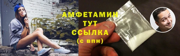 гидра Абаза