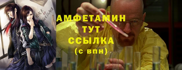 гидра Абаза