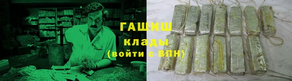 гидра Абаза