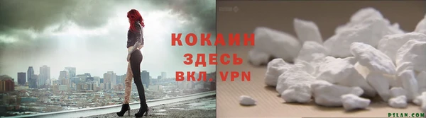 гидра Абаза