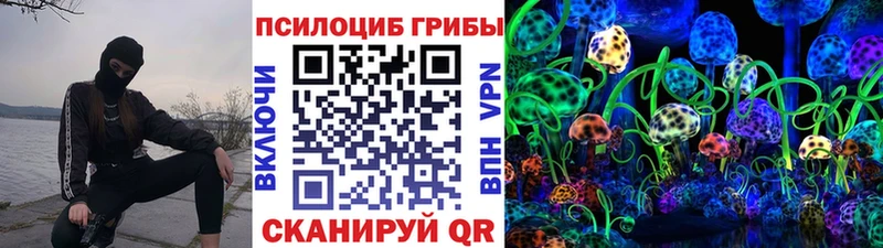 Галлюциногенные грибы GOLDEN TEACHER  Вилючинск 